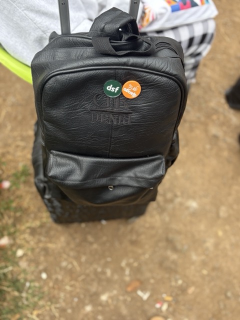 My backpag with pins (the dsf one is cool)